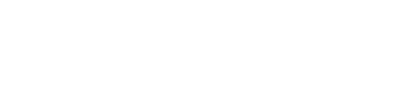 logo_todrone